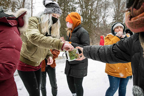 Students are outside in a snowy field collecting plants.