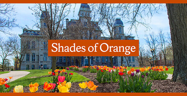Shades of Orange with Hall of Languages in the background