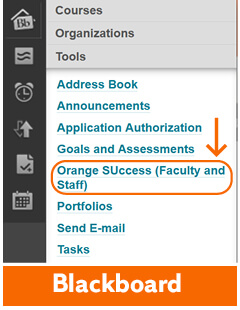 Find Orange Success on Blackboard under the Tools menu