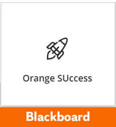 Access Orange Success through Blackboard